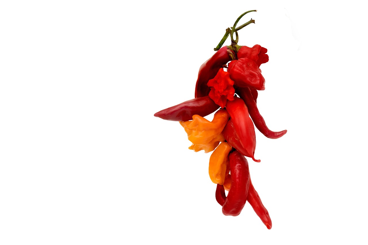 The Science of Antioxidants - Protecting Your Health